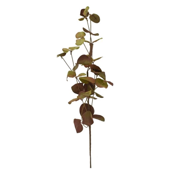Ág leveles 56 cm