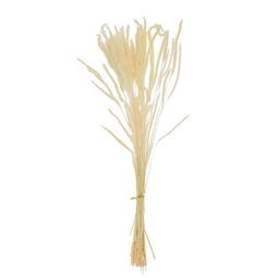 Szárazvirág árpa csokor 60 cm