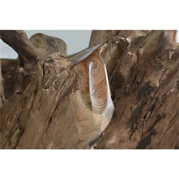 Asztal kerek 160x160x76 cm