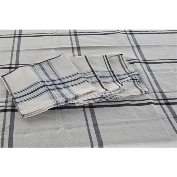 Asztalterítő szett kockás 250x150x0,5 cm S/9