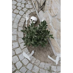 Csontváz dekoráció