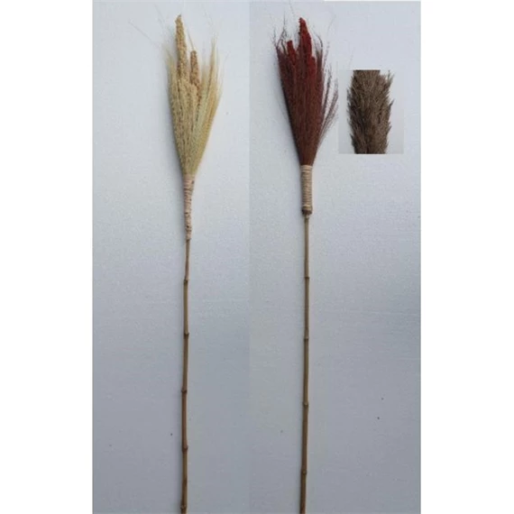 Dekoráció bambusz csokor 7x7x223 cm 2 féle