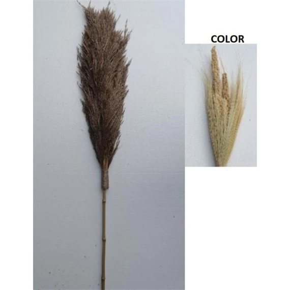 Dekoráció bambusz csokor 15x15x240 cm 2 féle