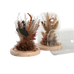 Dekoráció szárazvirág 12x12x17 cm 2 féle