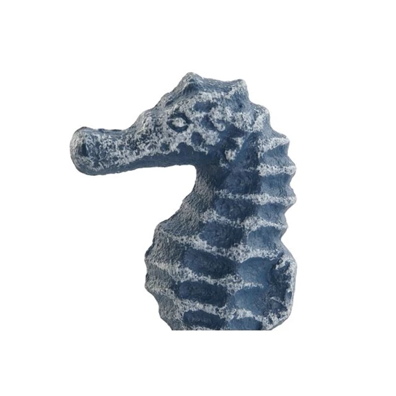 Fiókgomb kagyló, csikóhal 4x3x8 cm 2 féle