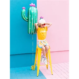 Fólia lufi kaktusz, 60x82 cm, mix