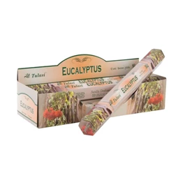 Füstölő szett eukaliptuszos 25x4x4 cm S/20