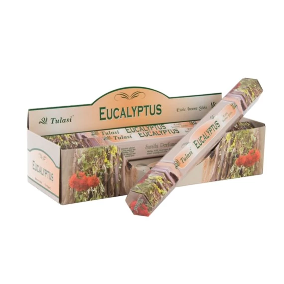 Füstölő szett eukaliptuszos 25x4x4 cm S/20