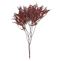 Fűzfaág levéllel szárított 70 cm