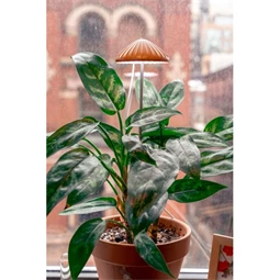 Gomba formájú palántanövesztő lámpa LED-es 72 cm