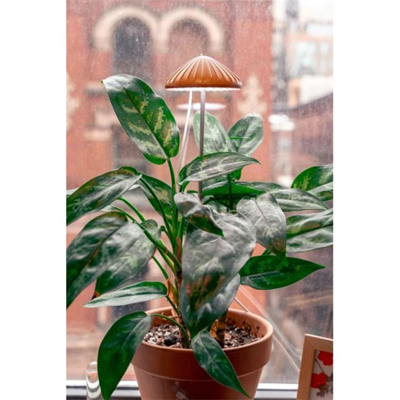 Gomba formájú palántanövesztő lámpa LED-es 72 cm