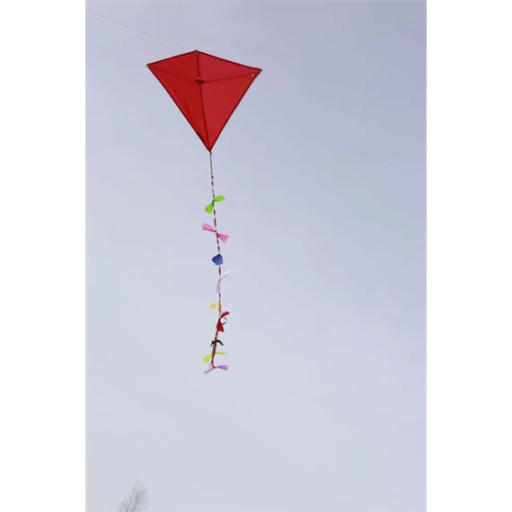 Huckleberry vörös papírsárkány