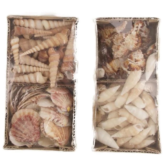 Kagyló dobozban 9x19x6 cm