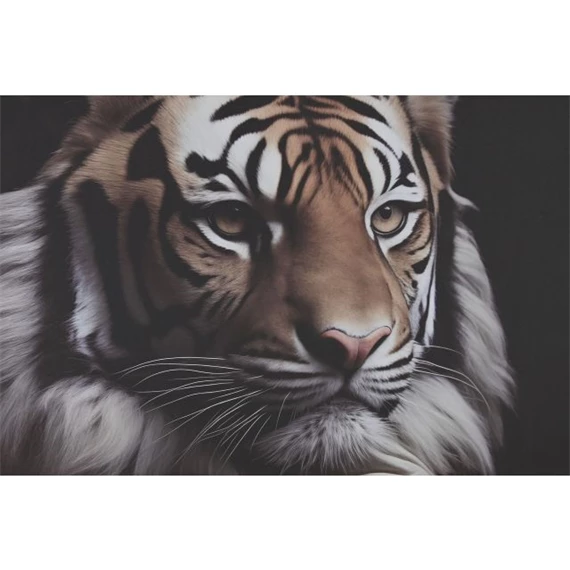 Kép állatos 80x3x120 cm 2 féle