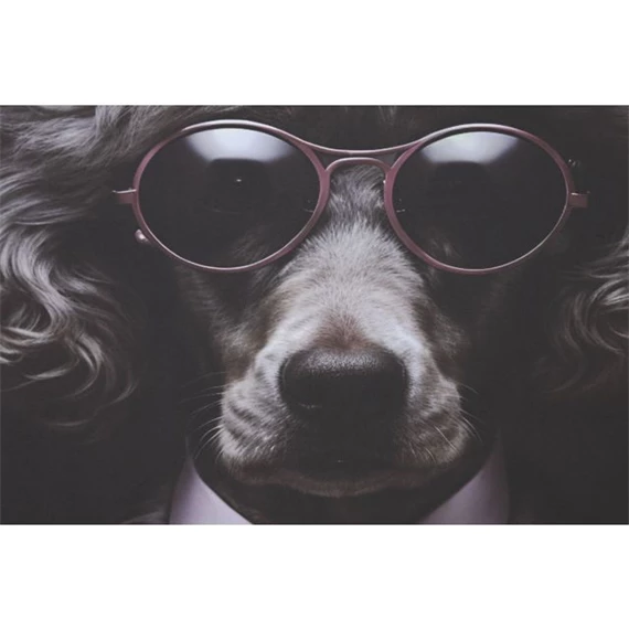 Kép állatos 80x3x120 cm 2 féle