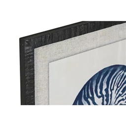 Kép csigák 50x2x60 cm 6 féle