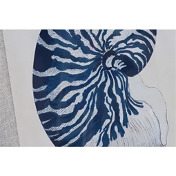 Kép csigák 50x2x60 cm 6 féle