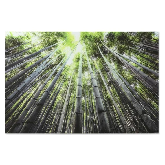 Kép edzett üveg, erdő 150x0,4x100 cm