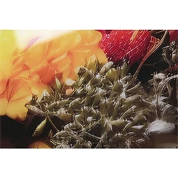 Kép edzett üveg, nő 120x0,4x120 cm