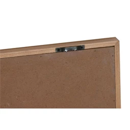 Kép kagyló 50x2x50 cm 6 féle