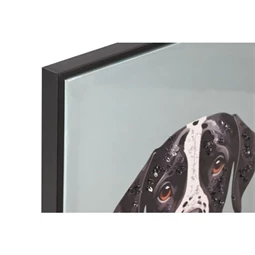 Kép keretes, dalmata 52,5x2,8x72,5 cm 3 féle