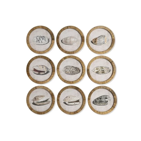 Kép keretes, kagyló 30x2x30 cm 9 féle