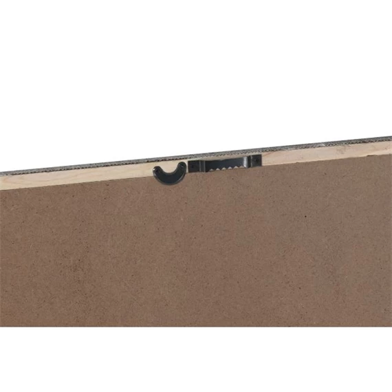 Kép keretes, korall 45x2x60 cm 2 féle