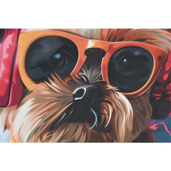 Kép keretes, kutya 50x3,5x50 cm 2 féle