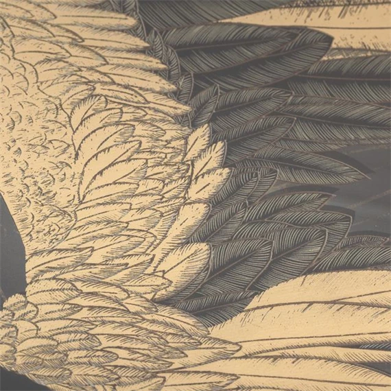 Kép keretes 63x3,5x53 cm