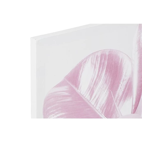 Kép leveles 50x1,8x70 cm 2 féle