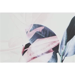 Kép leveles 50x1,8x70 cm 2 féle