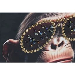 Kép majmos 52,5x3x72,5 cm 2 féle