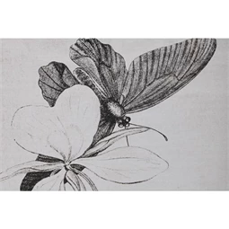 Kép pillangók 40x2,8x60 cm 4 féle