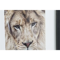 Kép tigris, oroszlán, keretes 35x2x45 cm 4 féle