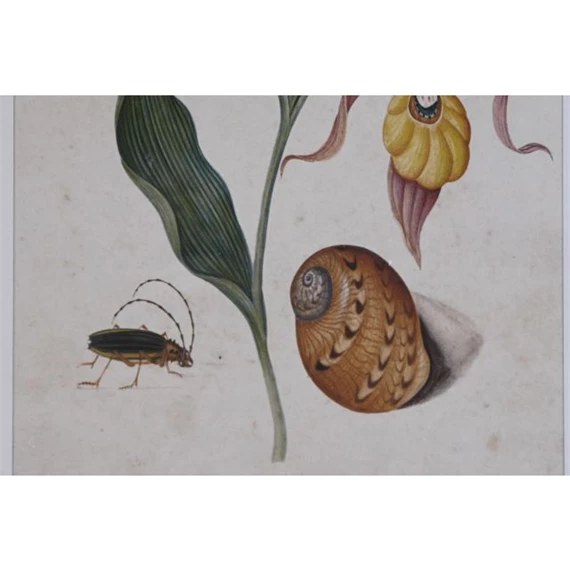 Kép virágos 50x2,5x70 cm 4 féle