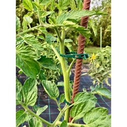 Kötöző fákhoz és cserjékhez 17 cm S/40