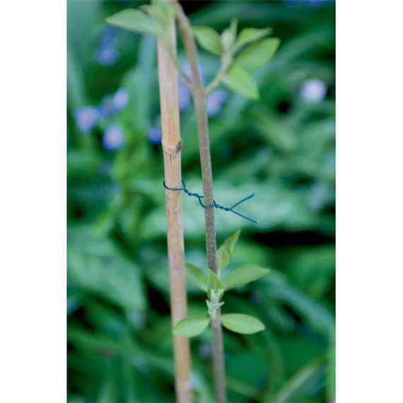 Kötöző növényekhez, műanyaggal bevont drót 2,5 m