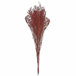 Szárazvirág Limonium csokor 80 cm