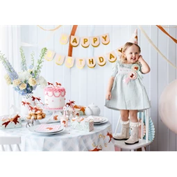 Lovas rozetta mix 8,5x16,5 cm S/3