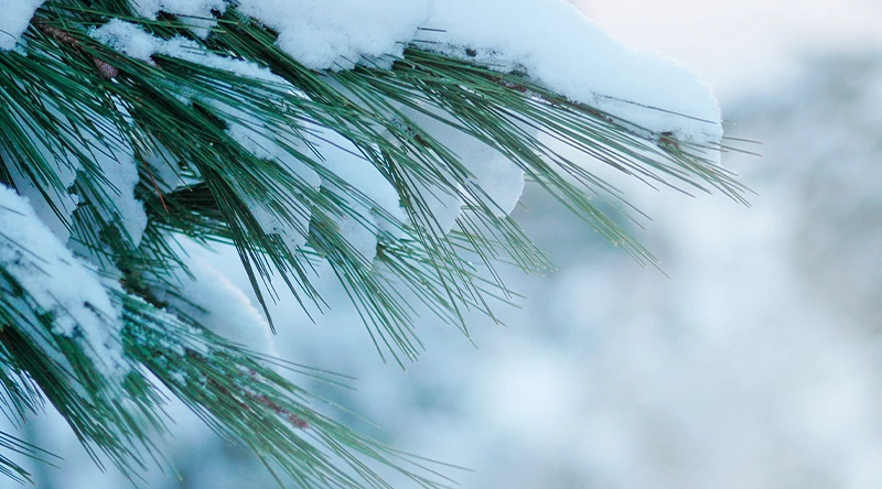 Nagykereskedésünk nyitvatartása