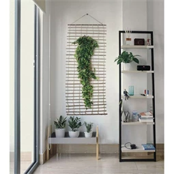 Növényfutattó falra akasztható 50 cm x 2 m