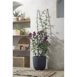 Növényfuttató létra 40 cm x 1,5 m