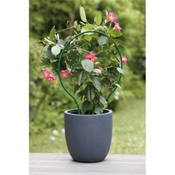 Növénytámasz ívelt 60x38 cm