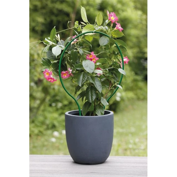 Növénytámasz ívelt 60x38 cm