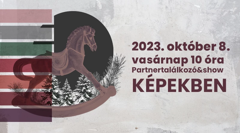 Október 8. - Partnertalálkozó&show