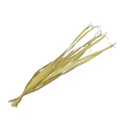Pálmalevél szárított köteg 80-95 cm S/10