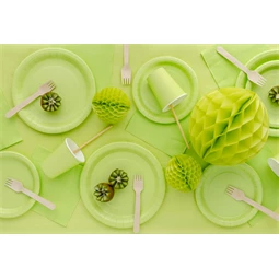 Papírtányér 18 cm világoszöld S/6