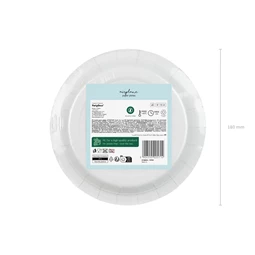 Papírtányér repülőgép, 18x18 cm, mix S/6