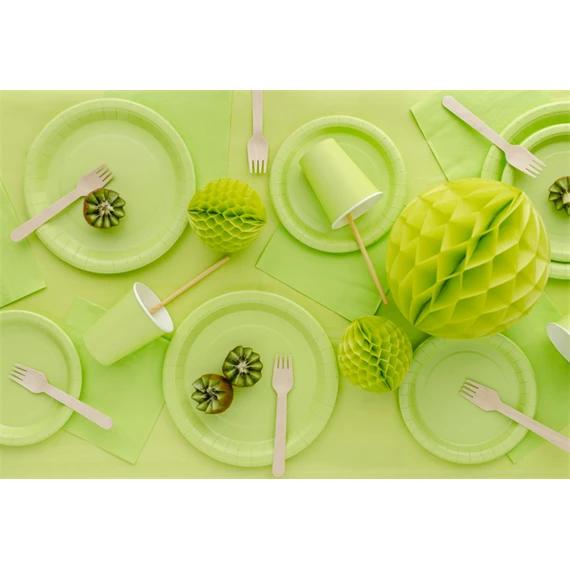 Papírtányérok 23 cm világoszöld S/6