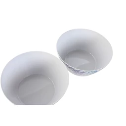 Salátástál 25x25x12 cm 2 féle